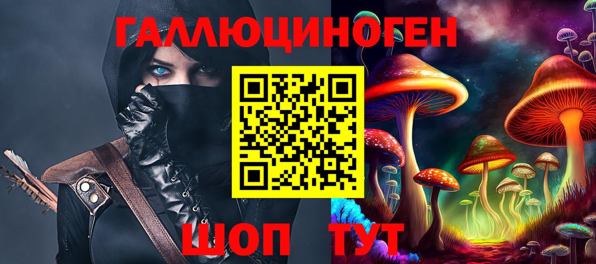 Галлюциногенные грибы Psilocybe Дербент